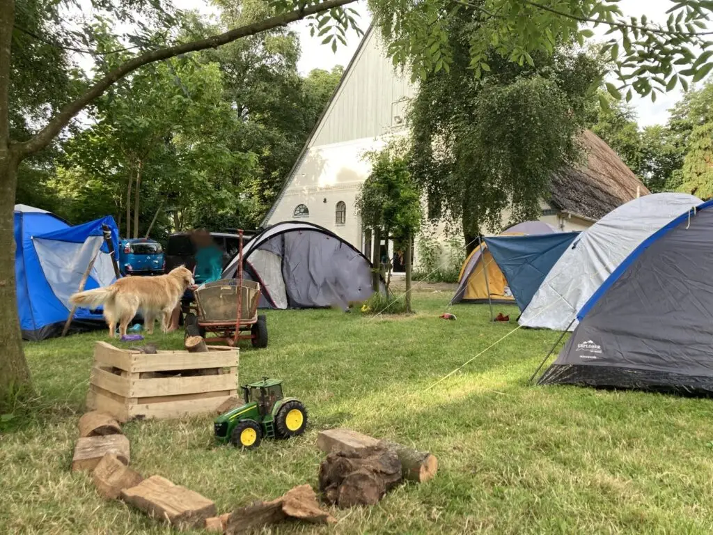 Zelte vor dem Waldgebäude